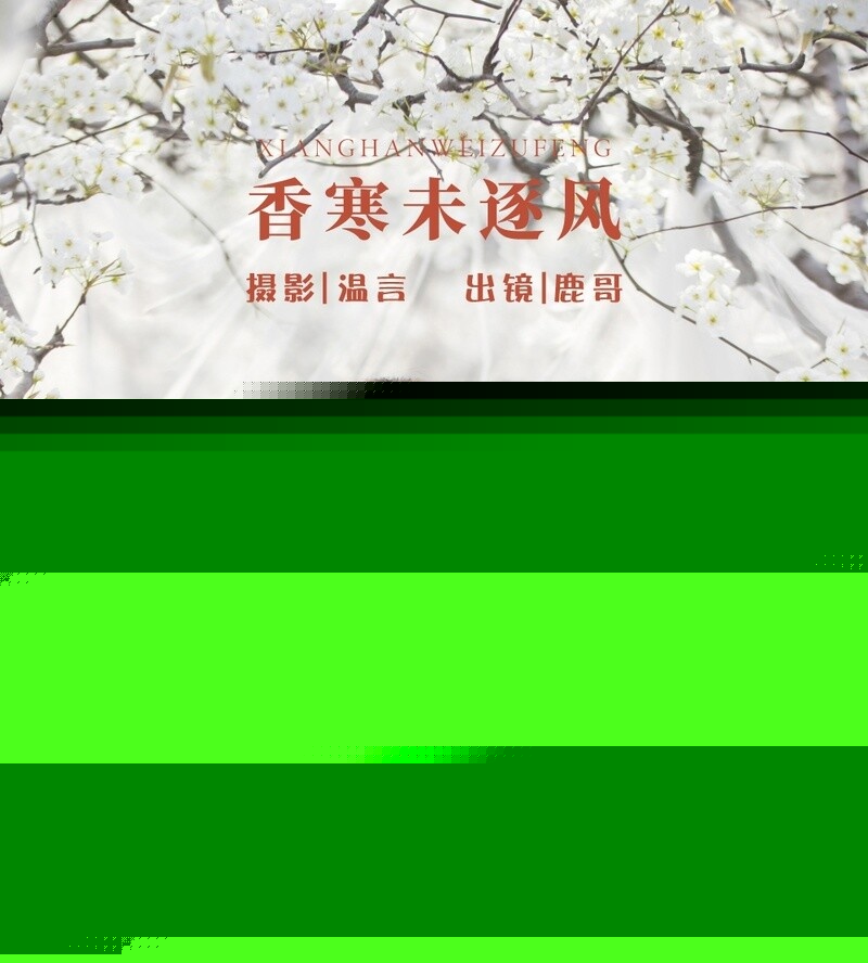 [YITUYU艺图语] 2022.06.01 香寒未逐风 鹿哥 [24P-158.65MB]