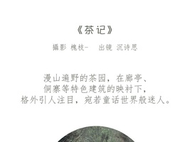 [YITUYU艺图语] 2022.07.07 茶记 katycat [19+1P-266MB]