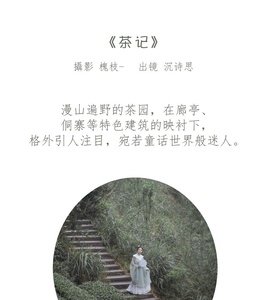 [YITUYU艺图语] 2022.07.07 茶记 katycat [19+1P-266MB]