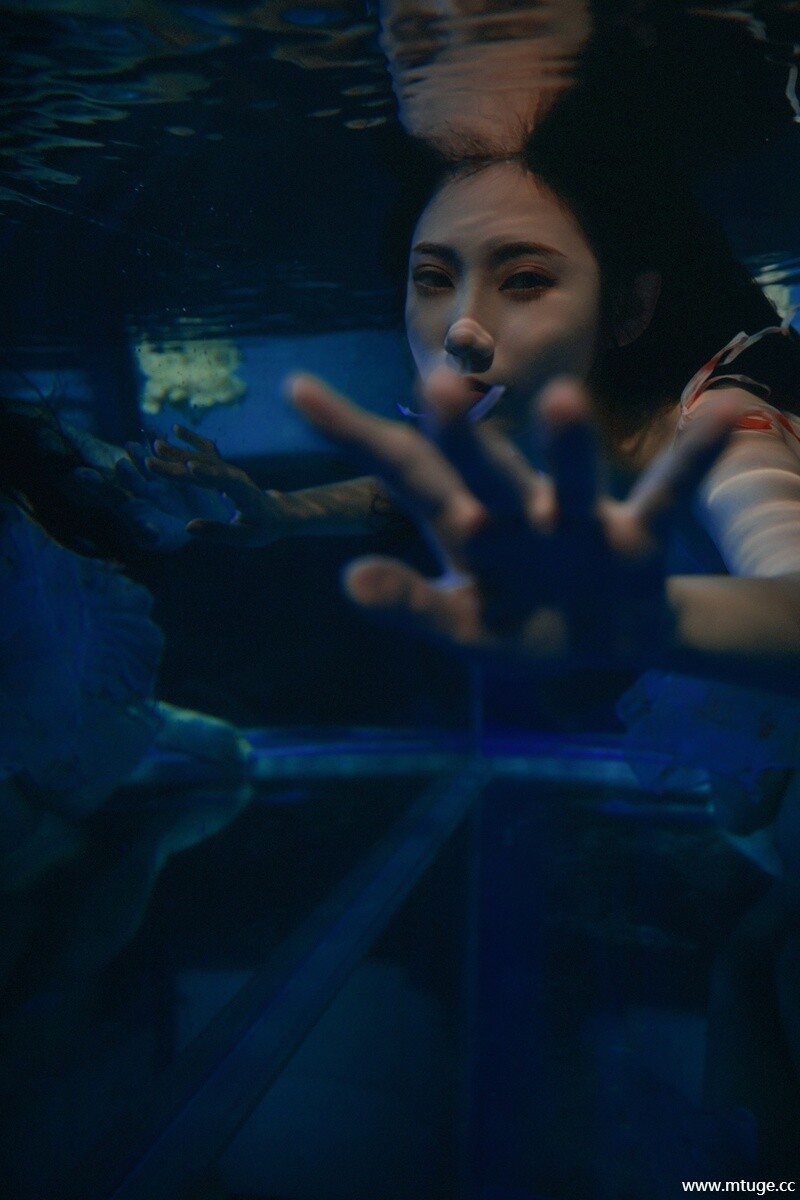 0016_compressed.jpg