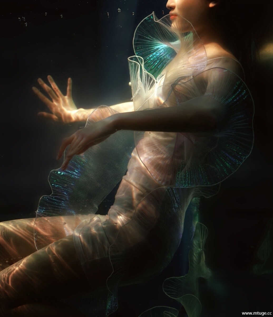 0004_compressed.jpg