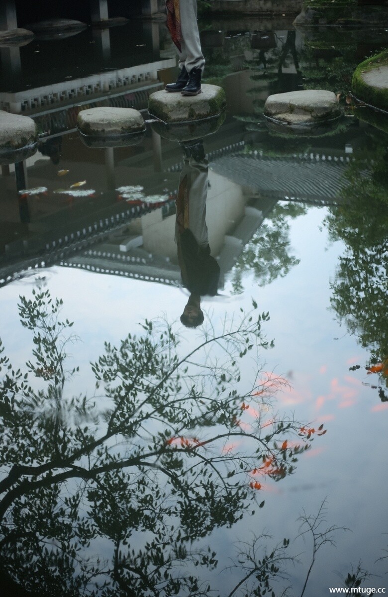 0010_compressed.jpg