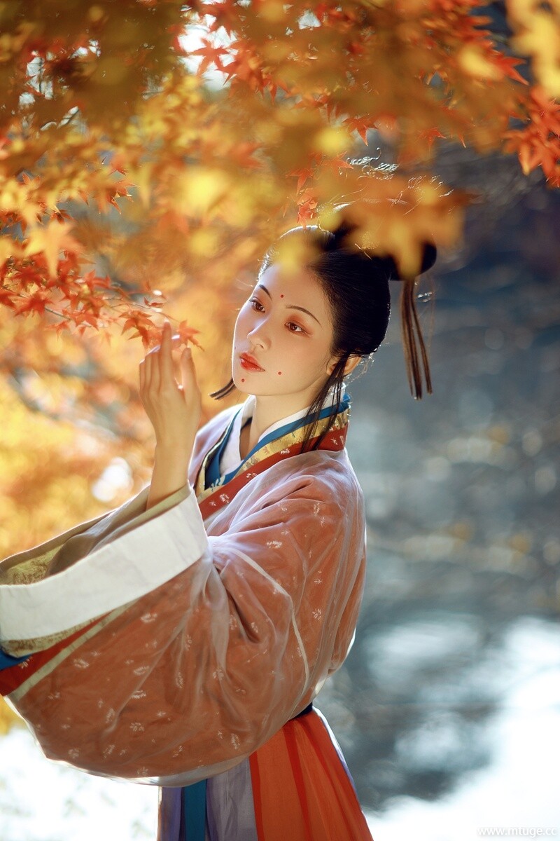 0008_compressed.jpg