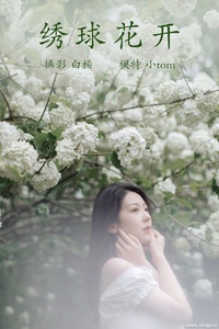 [YITUYU艺图语] 2021.12.31 绣球花开 小tom [21+1P-271MB]