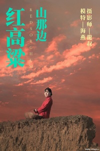 [YITUYU艺图语] 2021.06.21 红高粱・山那边 海燕 [30+1P-193MB]